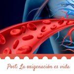 La oxigenación es vida
